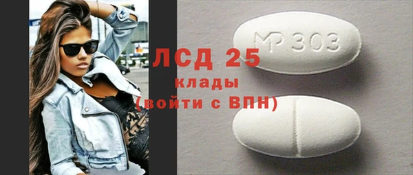 PSILOCYBIN Белокуриха