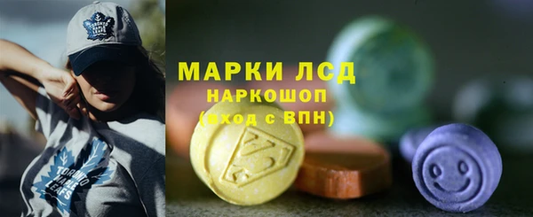 PSILOCYBIN Белокуриха