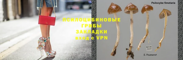 спиды Белоозёрский
