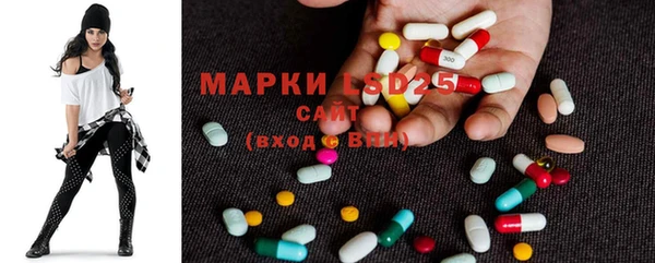PSILOCYBIN Белокуриха